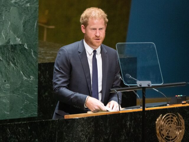 prince-harry-at-the-UN-1-640x480.jpg