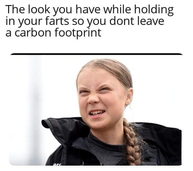 Greta-Thunberg-Meme.jpeg