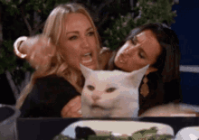 taylor-armstrong-smudge-cat.gif