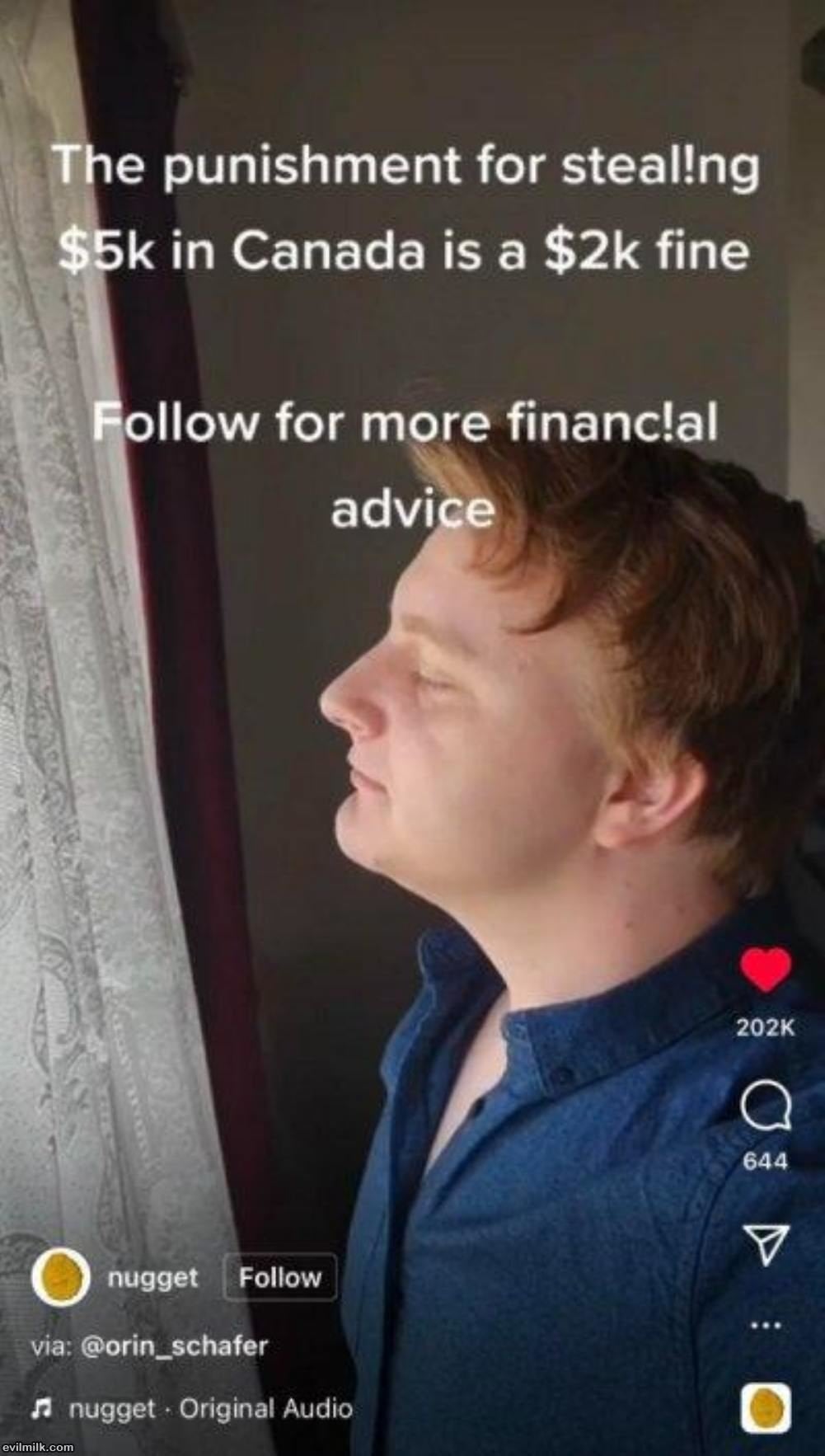 financial_advice-jpg.1241213