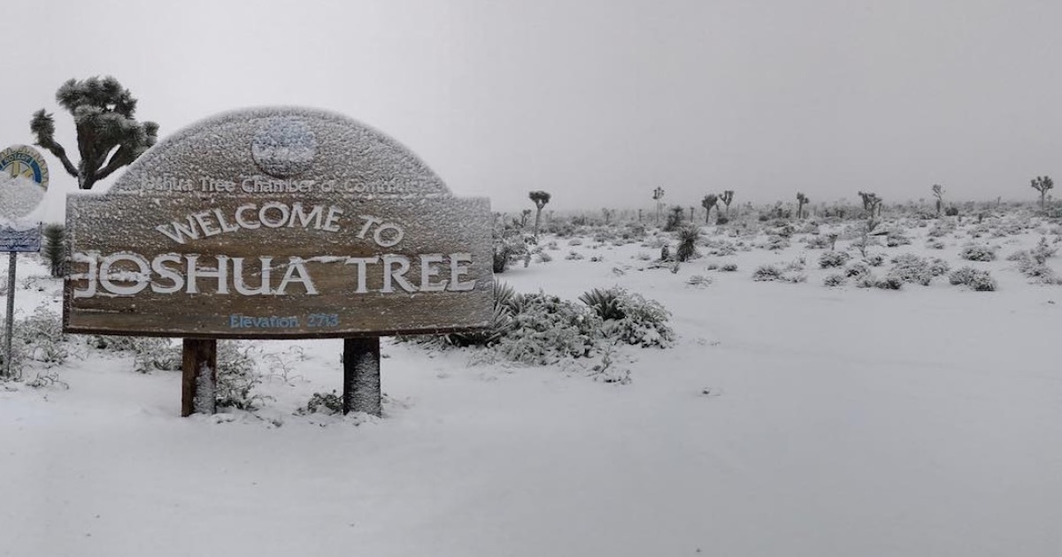 JoshuaTree-Snow.jpg