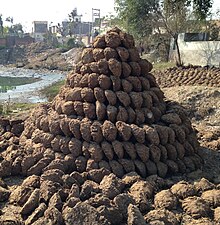 220px-A_Pile_of_Dung_Cakes.JPG