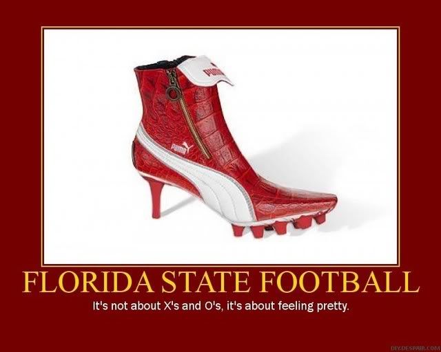 fsushoe.jpg