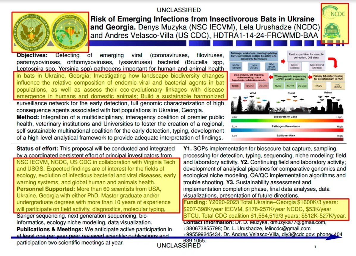 bat-research-ukraine.jpg