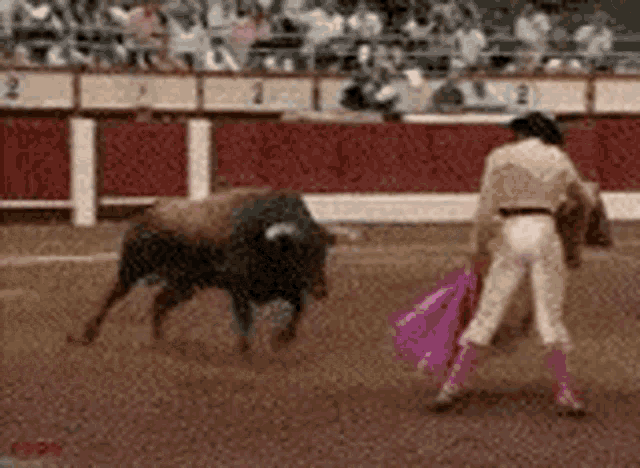 bull-matador-flipped.gif