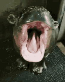 yawning-tired.gif