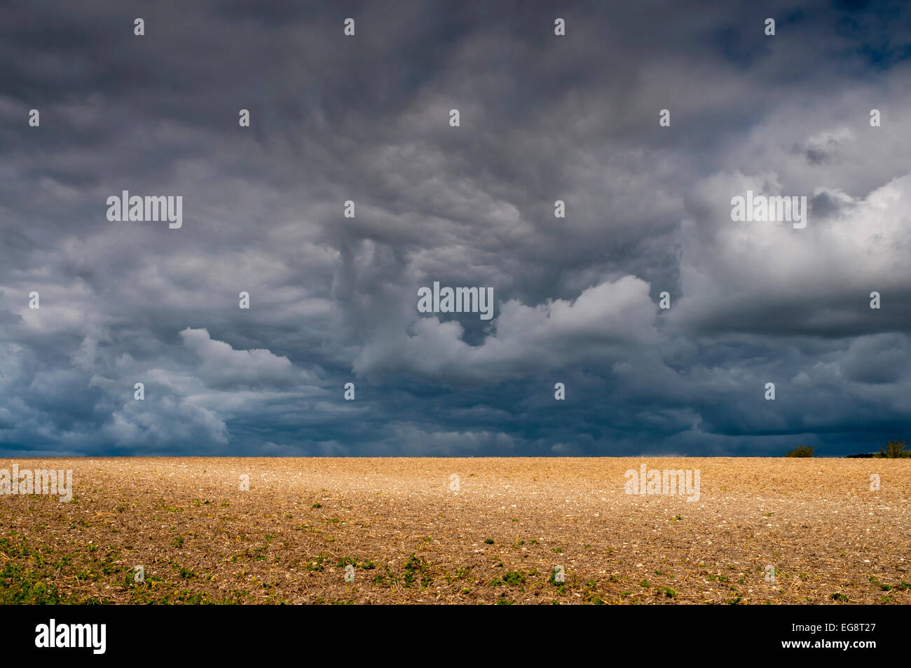 farmed-landscape-with-storm-clouds-brewing-france-EG8T27.jpg