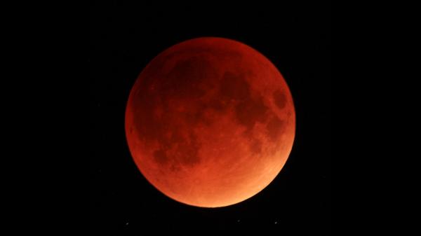 lunar-eclipse-sep-28-2015-deanne-fortnam-4.jpg