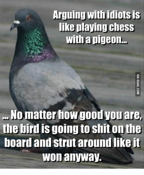 arguing-with-idiotsis-like-playing-chess-with-a-pigeon-no-14033992.png