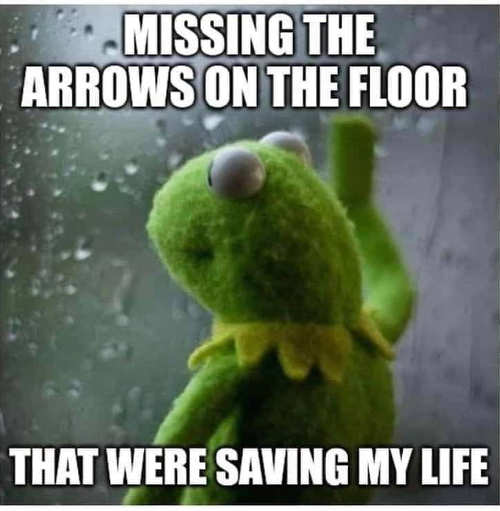 kermit-missing-arrows-store-save-life.jpg