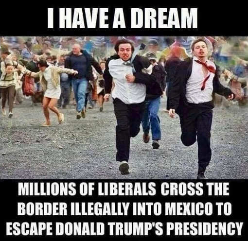 i-have-a-dream-liberals-crossing-border-escape-trump-presidency.jpg