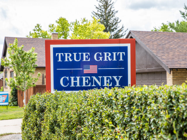 Campaign-Sign-for-Liz-Cheney-640x480.jpg