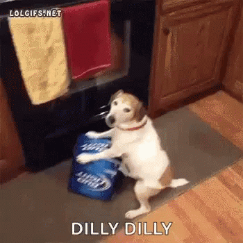 dilly-dog.gif