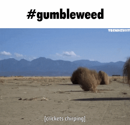 gumbleweed-tumbleweed.gif