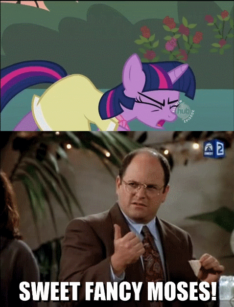 img-1973235-1-117010__UNOPT__safe_twilight-sparkle_animated_adorkable_george-costanza_seinfeld.gif