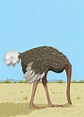 Ostrich With Head In The Sand Photograph by Ikon Ikon Images - Fine Art ...